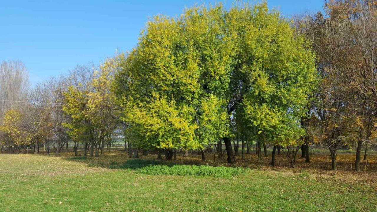 Corte Staffetta Apartamento Verona